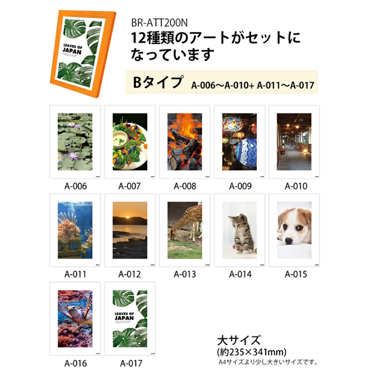 YUI 非売品 販促物 ポスター パネル 限定 当選品 ブレイン 15年保存 日本製 飾るアート 非常用トイレ10回分+アート