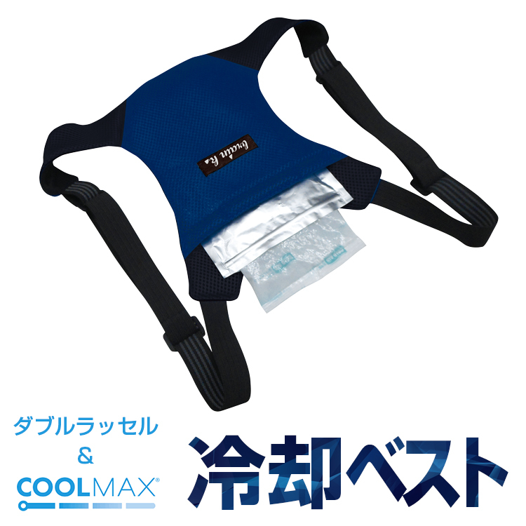 アイスバックII