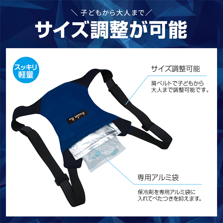 アイスバックII