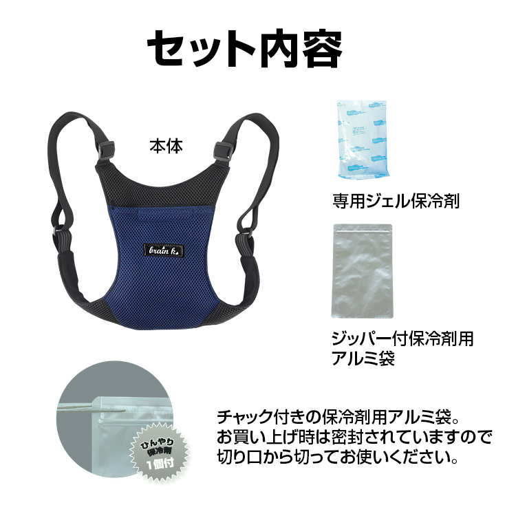 アイスバックII