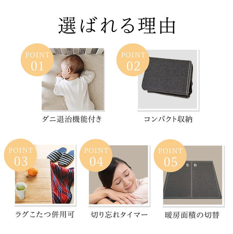 TEKNOS（テクノス） TEKNOS TWA-3002B ホットカーペット 3畳用 すべり