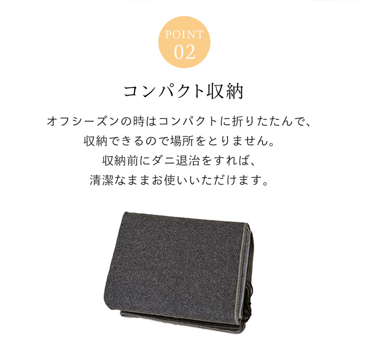 TEKNOS（テクノス） TEKNOS TWA-3002B ホットカーペット 3畳用 すべり