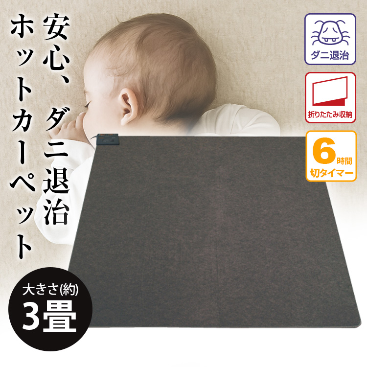 TEKNOS（テクノス） TEKNOS TWA-3002B ホットカーペット 3畳用 すべり
