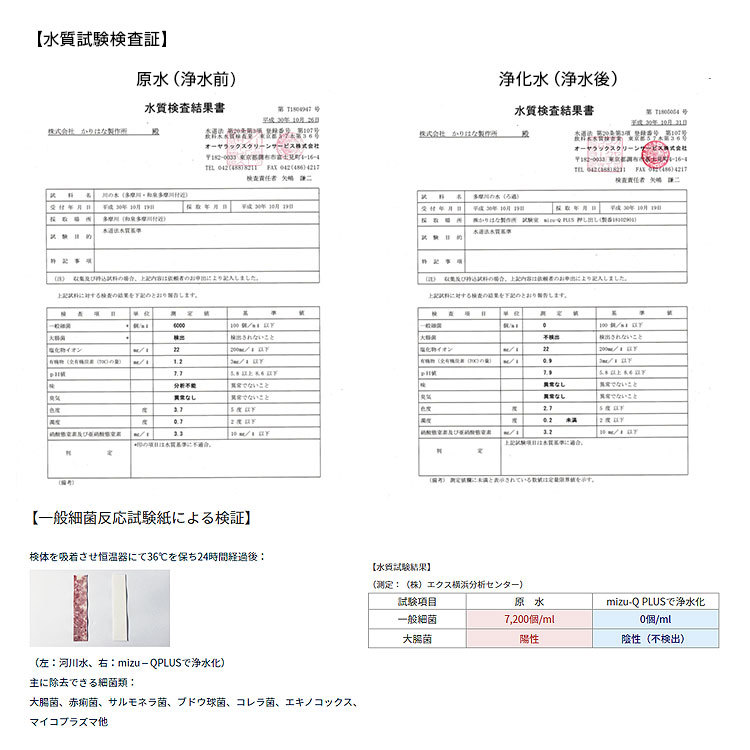 送料無料(一部地域を除く) 携帯型浄水器 mizu-Q PLUS(ミズキュープラス