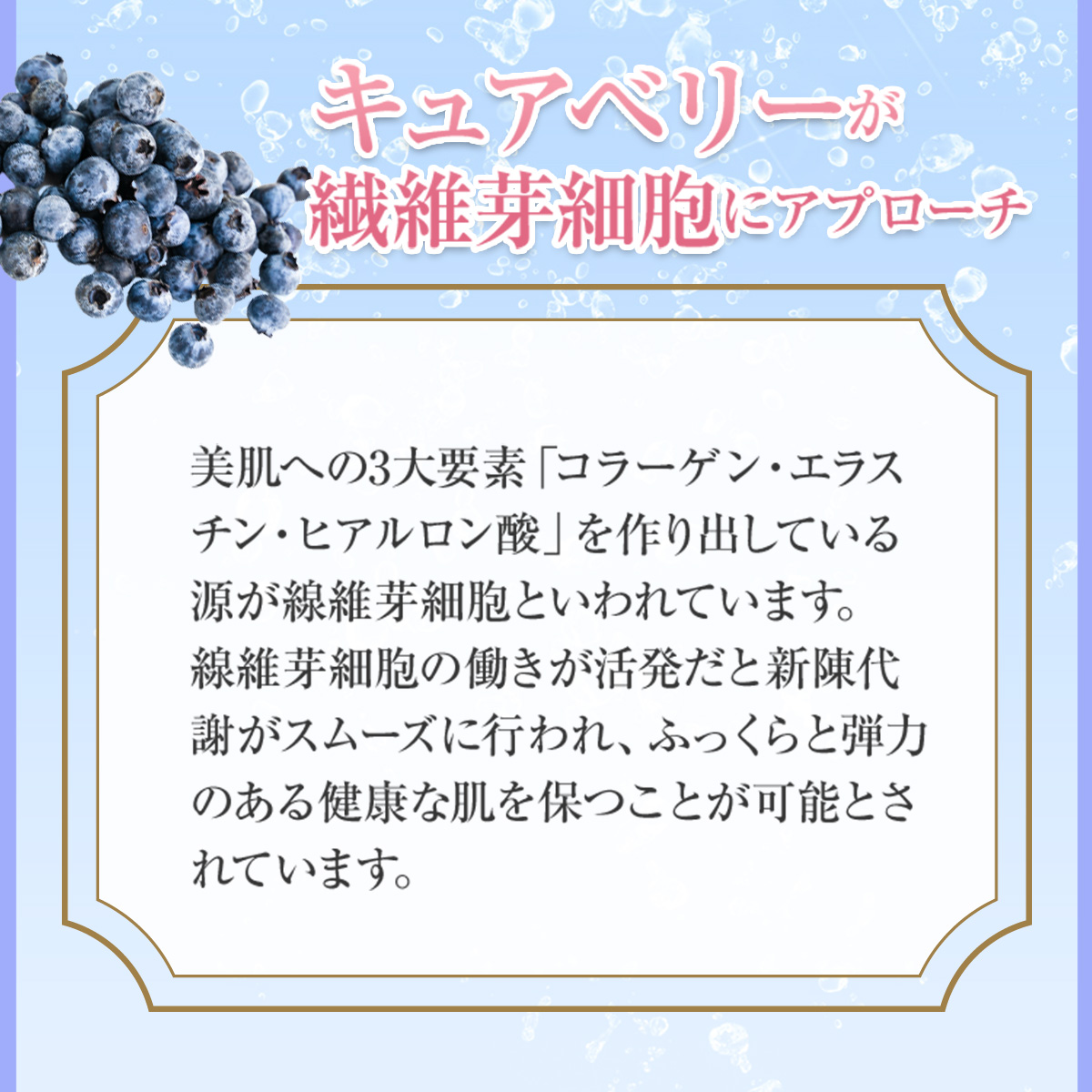 ニードルパッチ