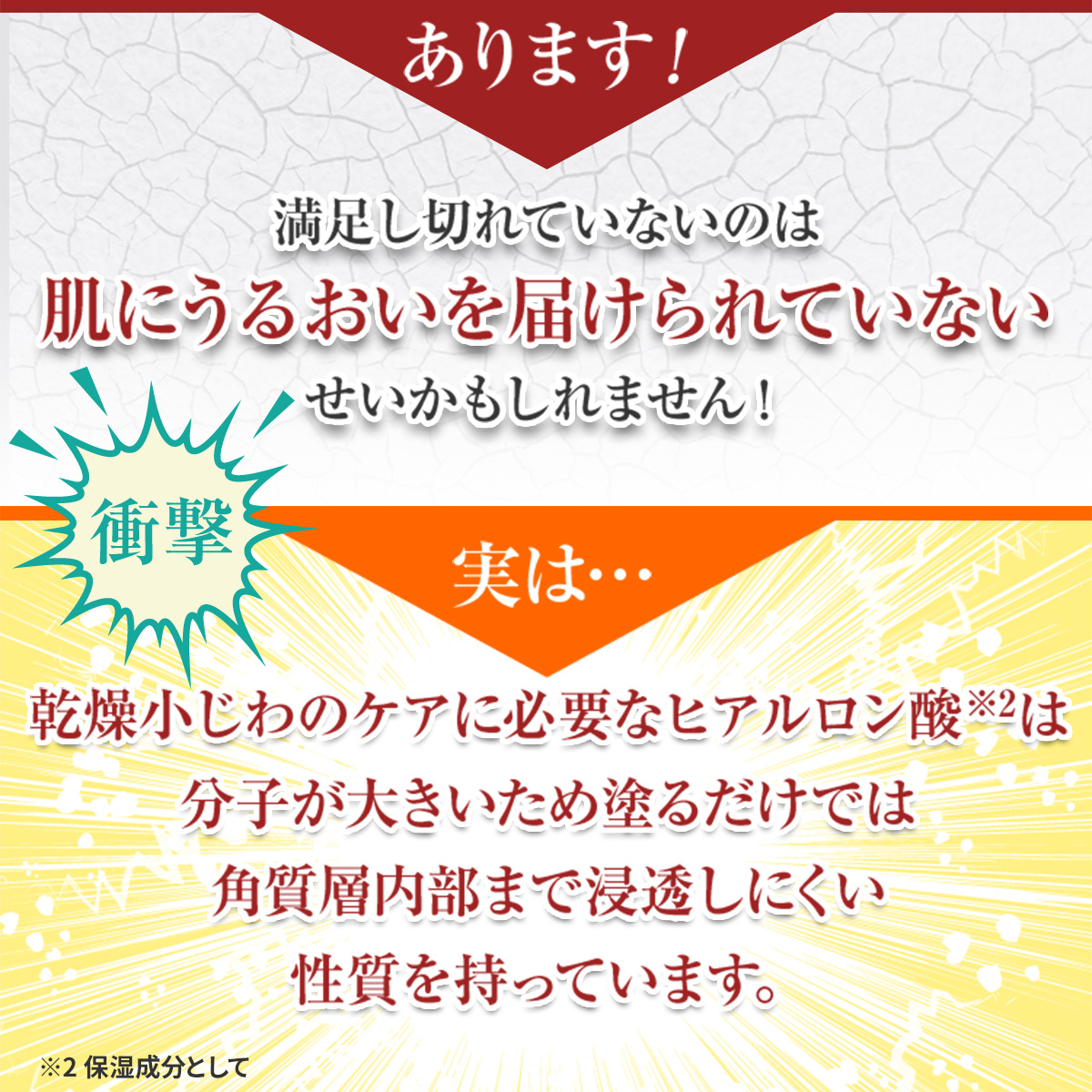 ニードルパッチ