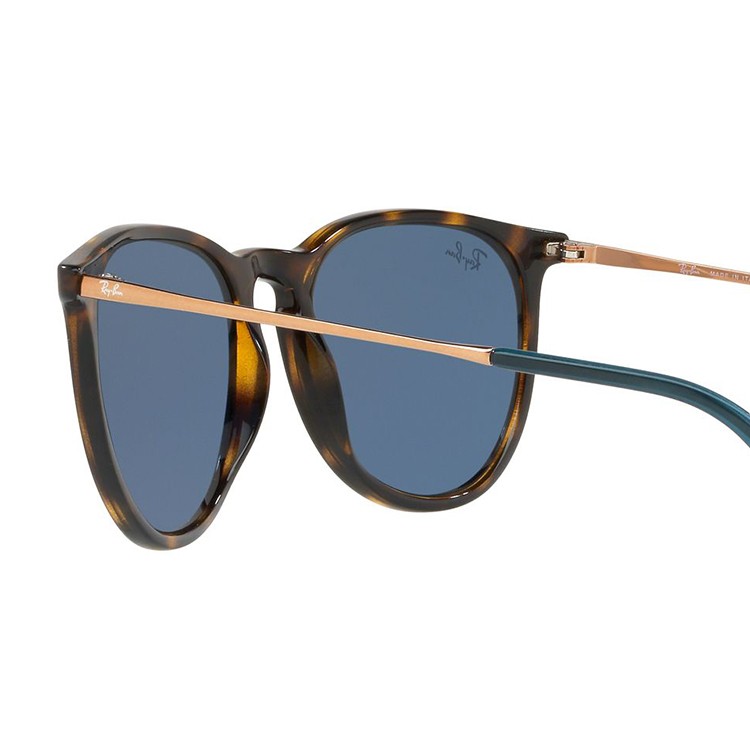 Ray-Ban ERIKA RB4171-F 6390/80 レイバン　エリカ Ray-Ban レイバン サングラス エリカ 国内正規品 メンズ