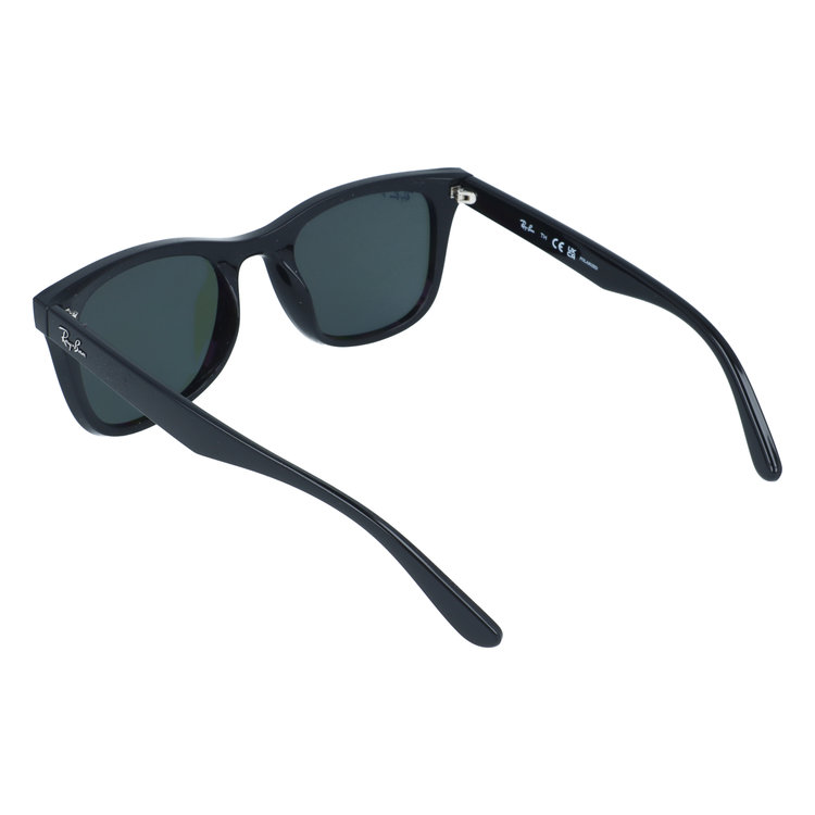 Ray-Ban ウェイファーラー　0RB4391D サングラス　ケース付き Ray-Ban（レイバン） 正規保証書(押印)付 Ray-Ban 4391D ( Low Bridge