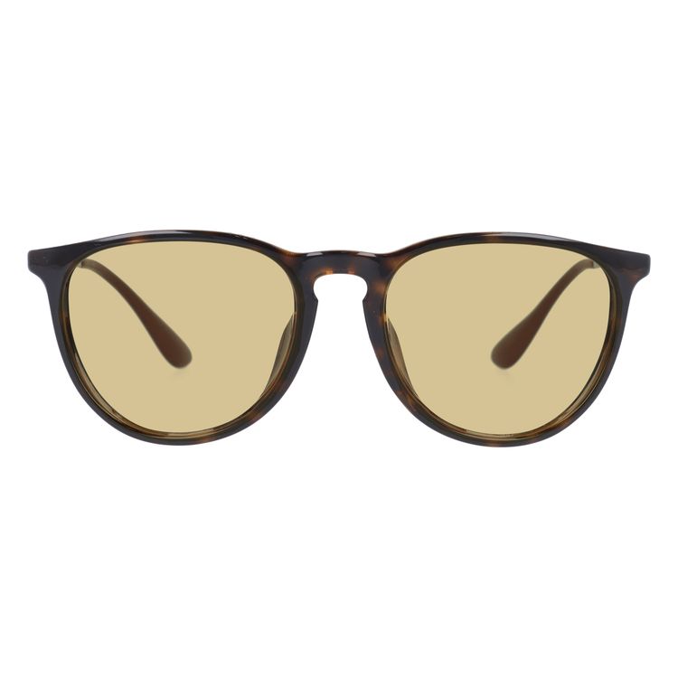 Ray-Ban サングラス ブラック/ブラウン Ray-Ban レイバン サングラス RB3447N 002/71 50・53 ラウンド