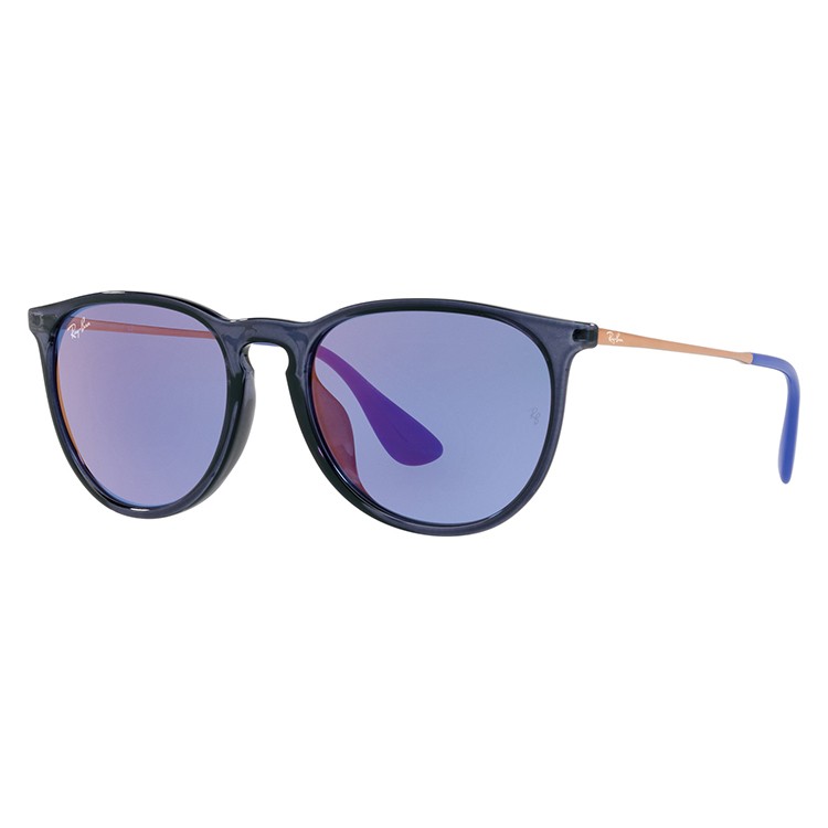 Ray-Ban 国内正規品 サングラス レイバン ブランド rayban erika