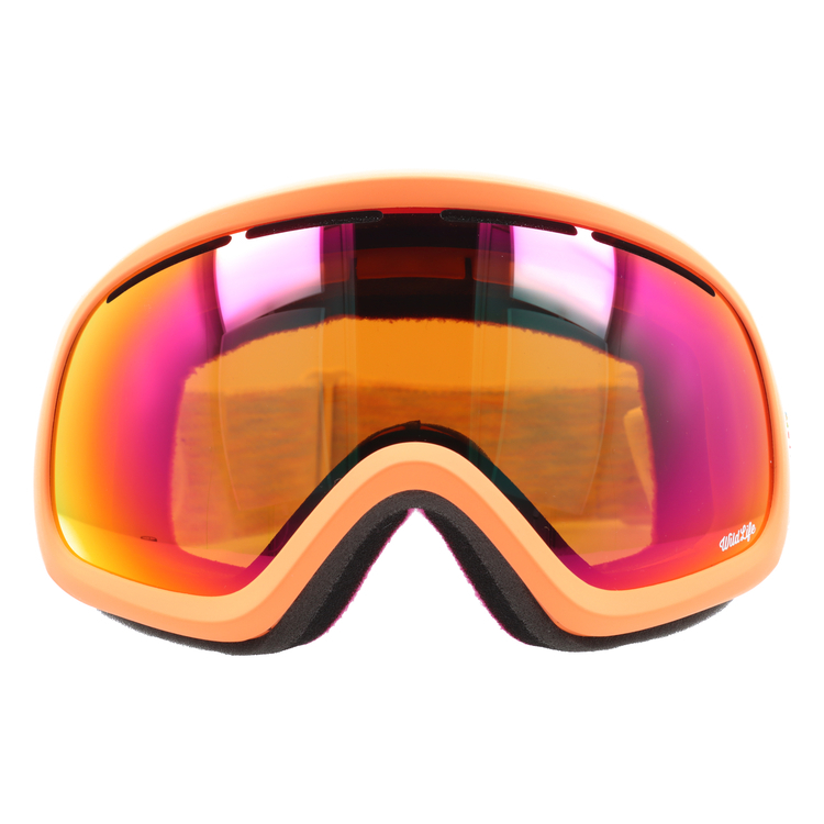 VONZIPPER ボンジッパー ゴーグル スキーゴーグル レディース