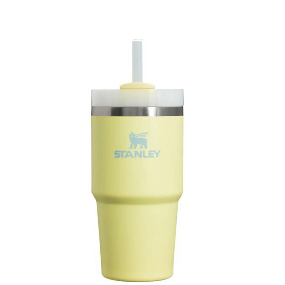 STANLEY スタンレー H2.0 真空スリムクエンチャー0.6L タンブラー