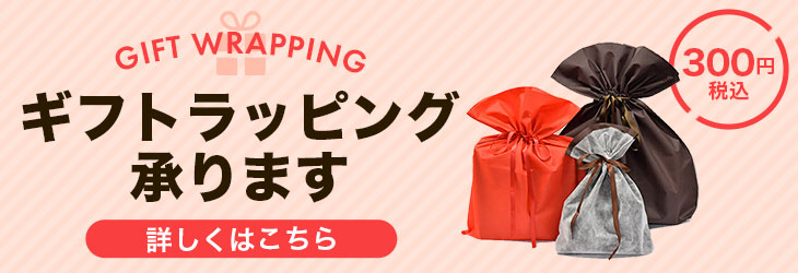 新品未使用　BALLY 赤 レザー 保存袋付き　トランプ PILOT パイロット トレンダーレザー05 型押し牛革 ペンケース