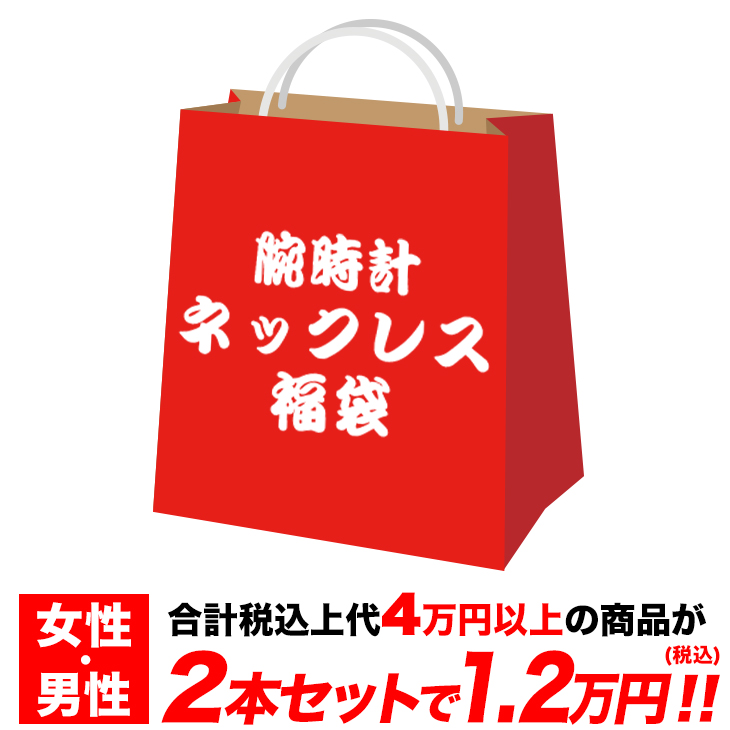 ランキング3位受賞】【2点セットブランド福袋】定価4万円以上 メンズ