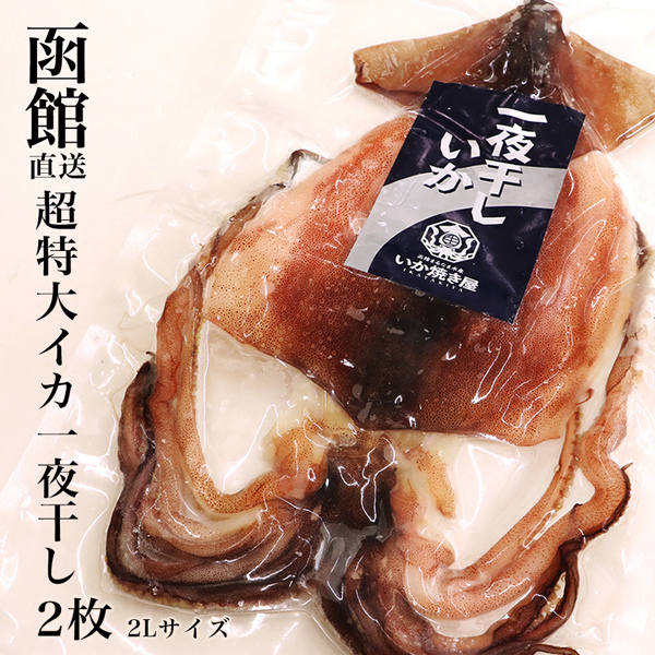 いか一夜干し Mサイズ お得な2枚セット いか一夜干し (M×2枚) 函館直送 するめ スルメ するめいか スルメイカ 一夜干し イカ マルナマ  送料無料 イカ