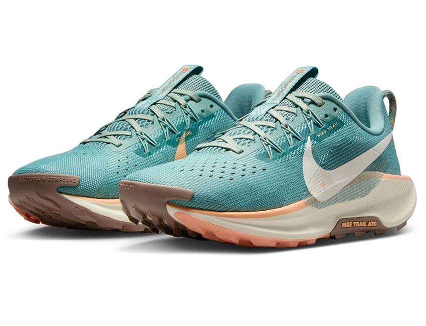 NIKE（ナイキ） 女性 レディース シューズ W PEGASUS TRAIL 5