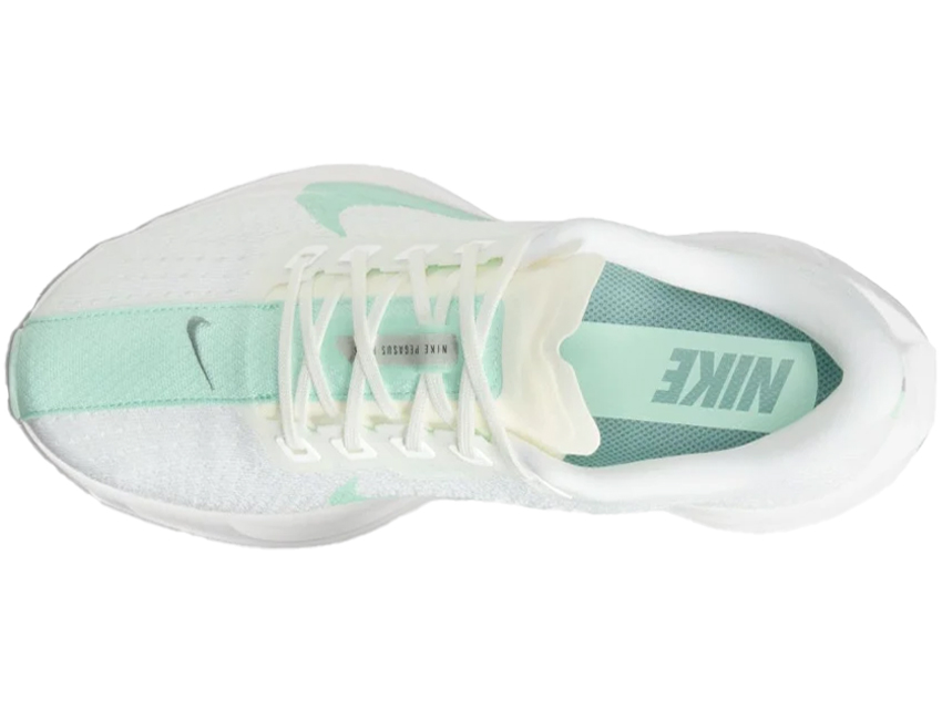NIKE（ナイキ） レディース W PEGASUS PLUS ペガサス プラス FQ7261