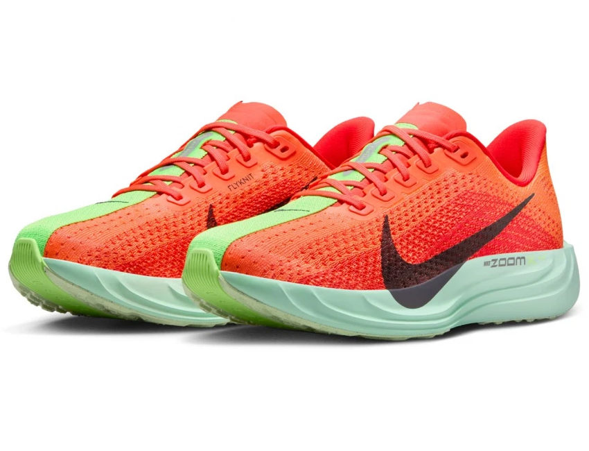 NIKE（ナイキ） 女性 レディース シューズ W PEGASUS PLUS ウィメンズ