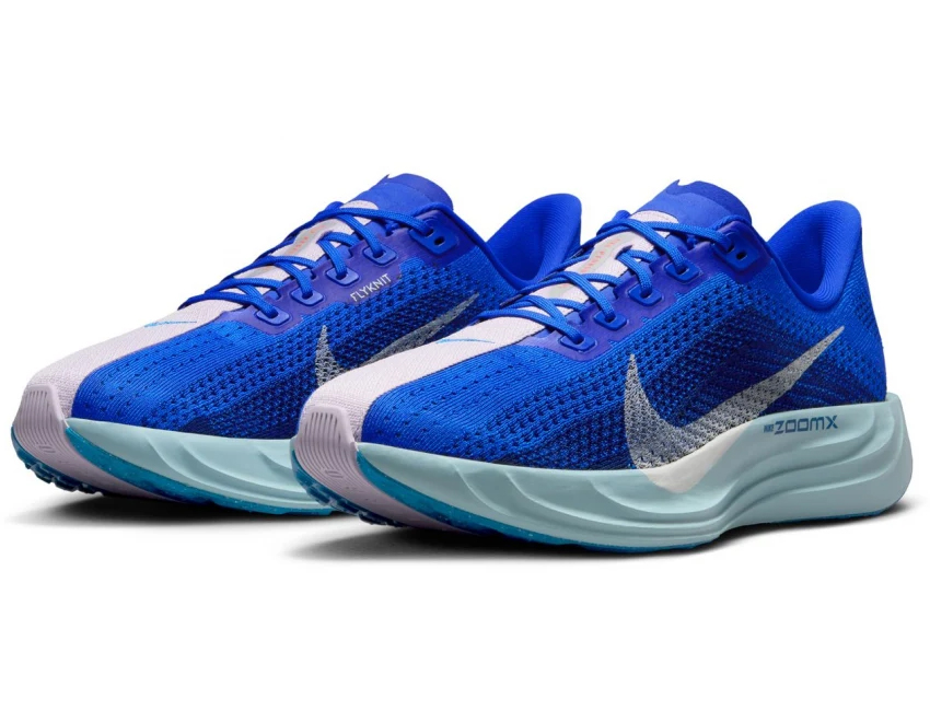 NIKE 男性 ナイキ メンズ シューズ PEGASUS PLUS ペガサス