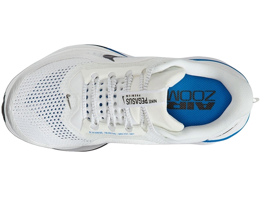 NIKE（ナイキ） 男性 メンズ シューズ PEGASUS PREMIUM ペガサス