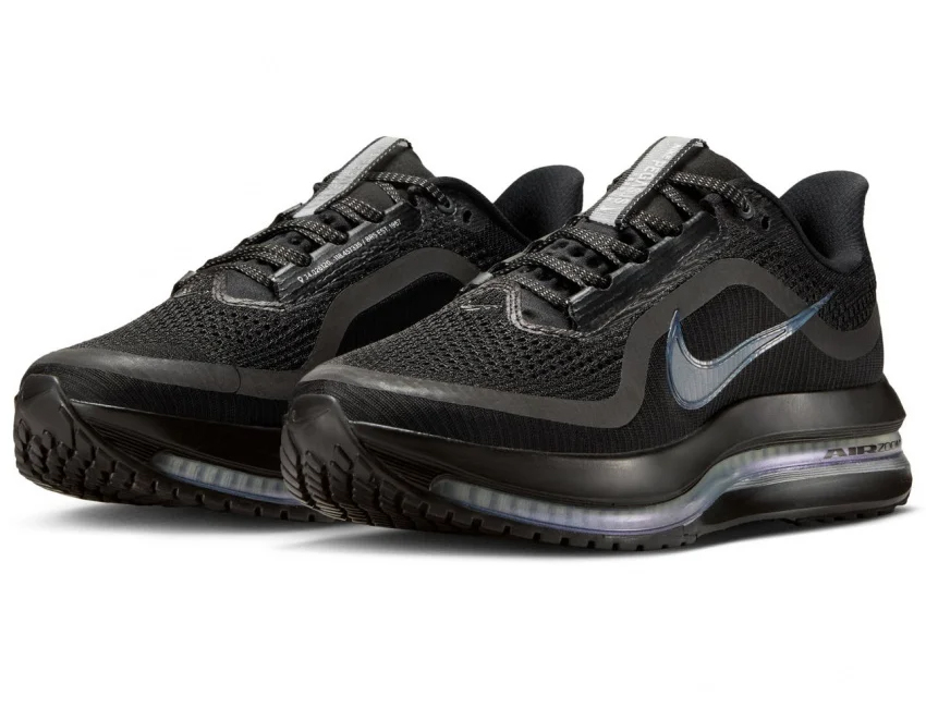 NIKE（ナイキ） 女性 レディース シューズ W PEGASUS PREMIUM