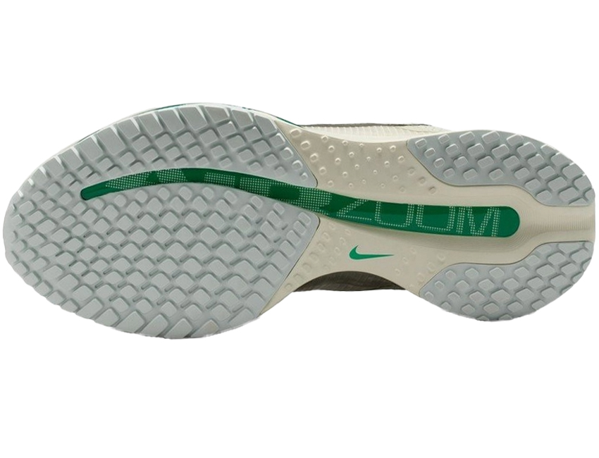 NIKE（ナイキ） 女性 レディース シューズ W PEGASUS PREMIUM