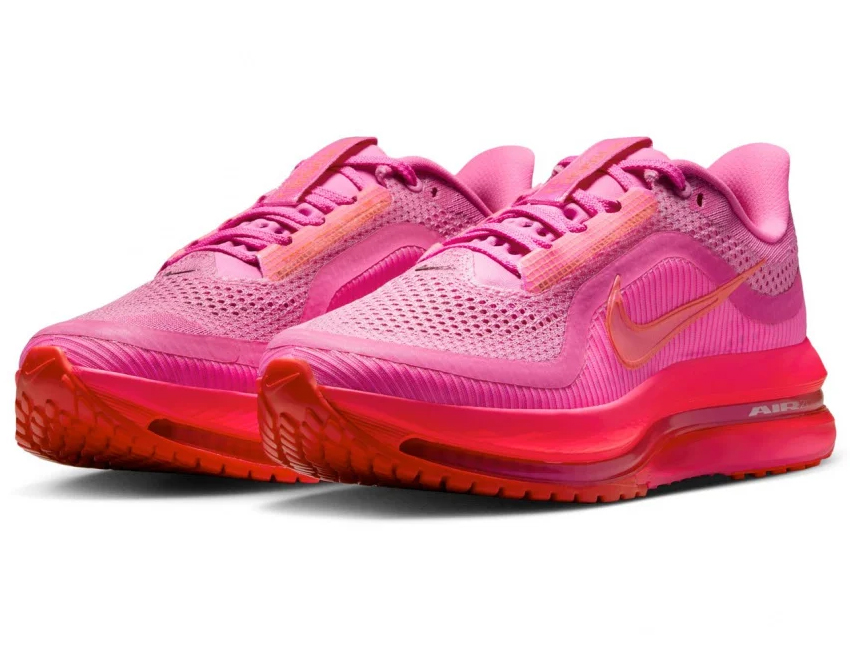 NIKE（ナイキ） 女性 レディース シューズ W PEGASUS PREMIUM