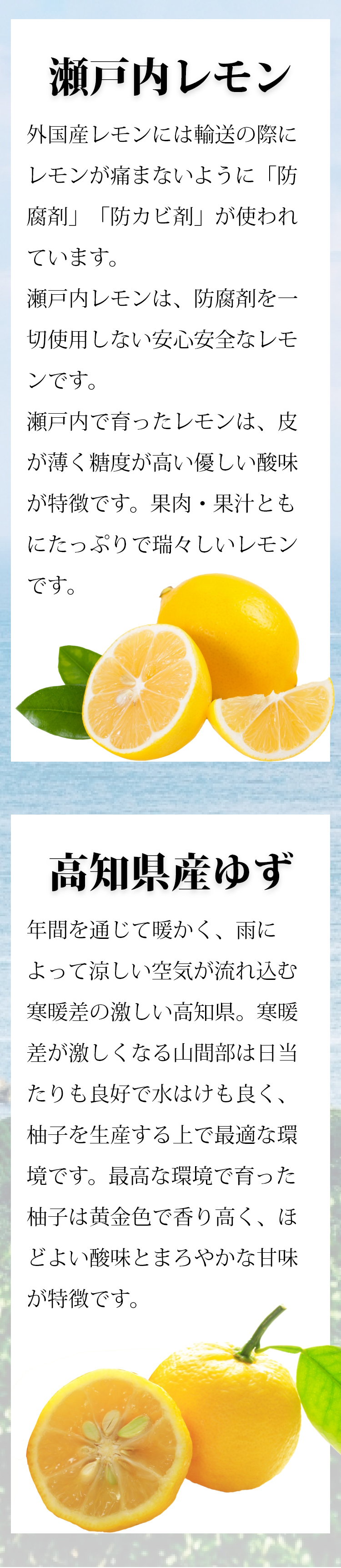 CBD オイル エンハンスト モリンダ パートナーコー ダイエット