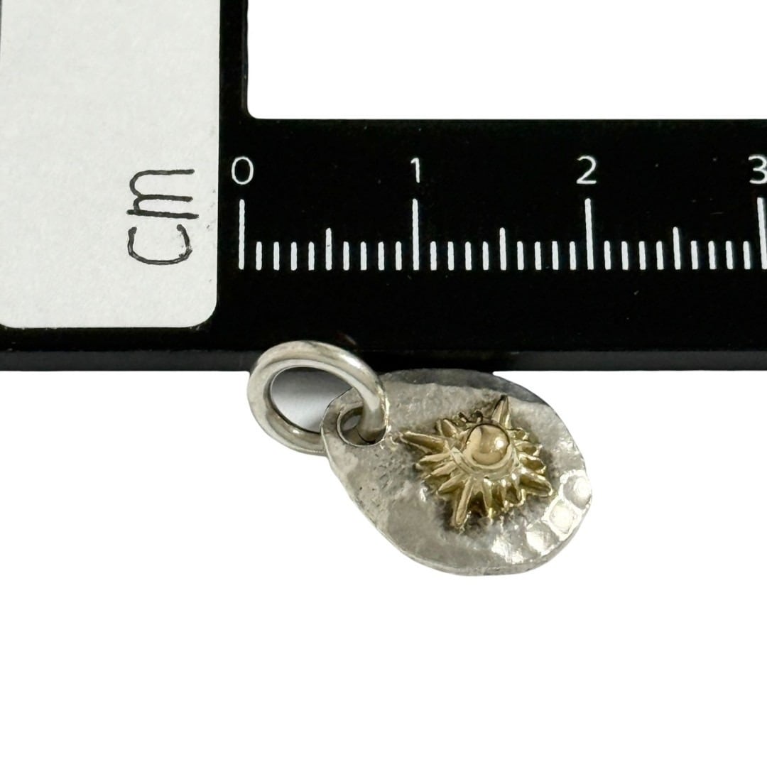 ARIZONA FREEDOM（アリゾナ フリーダム） メンズ ペンダントトップ