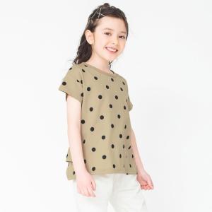 子供服 WEB限定 無地/ドット柄バックフリル半袖Tシャツ