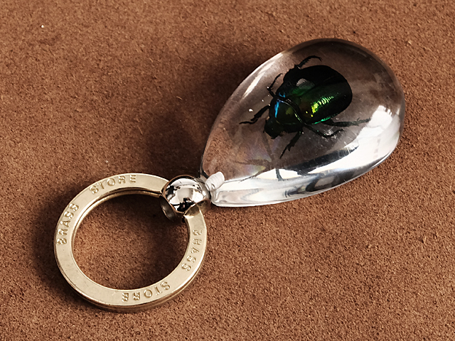 樹脂 キーホルダー（コガネムシ）黄金虫 甲虫 本物 リアル 標本 星座 
