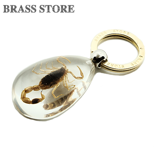 アンティーク 古い錠前 サソリ 蠍 スコーピオン 真鍮 brass-store_brass00712