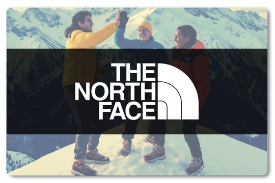 THE NORTH FACE �U�E�m�[�X�E�t�F�C�X