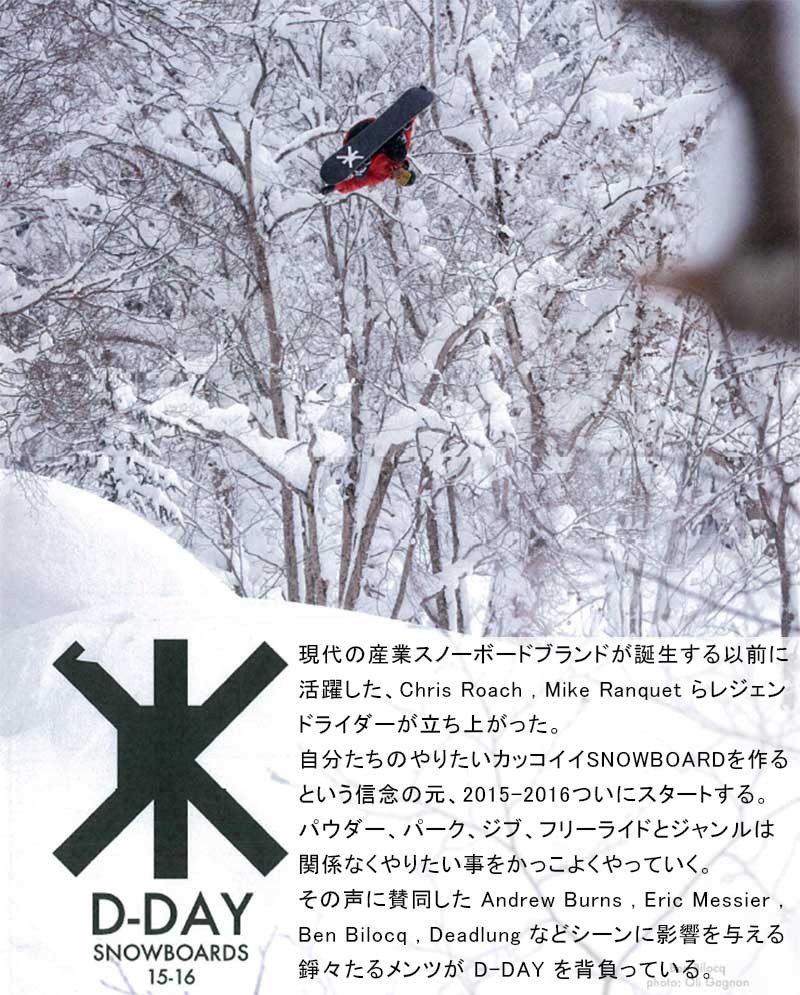 楽天市場】15-16 D-DAY/ディデイ CHRIS ROACH PRO メンズ