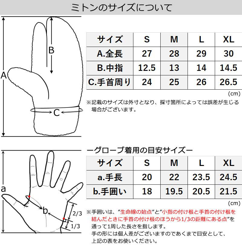 AA 24-25 VOLCOM / ボルコム GAAAS GORE-TEX TRIGGER mitt