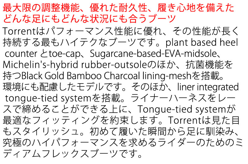 25-26 RIDE/ライド TORRENT トーレント メンズ レディース ブーツ