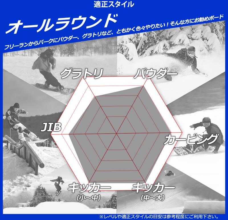 Salomon 『 HOLOGRAM 』 24-25 snowboard スノーボード サロモン