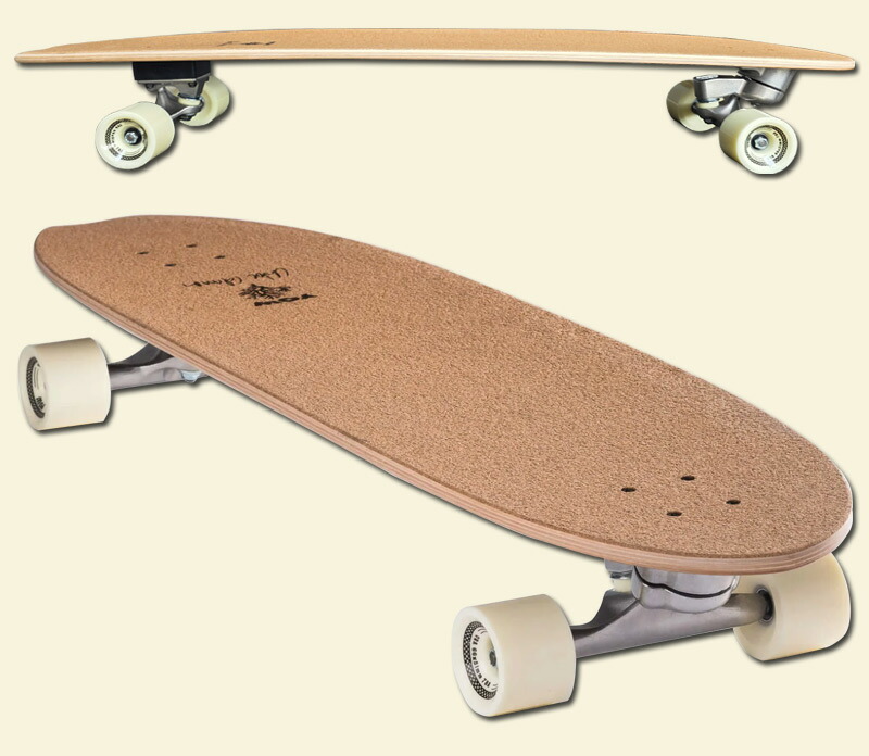 Calmon 41