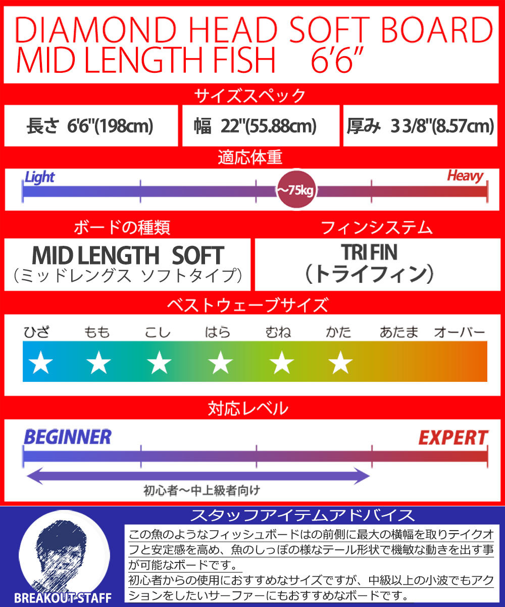 西濃運輸営業所止め サーフボード ソフトボード 6'6 D-7 ミッド