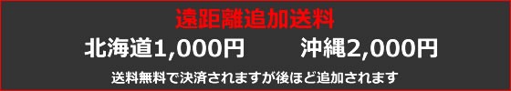 冬支度に便利なミニマットです