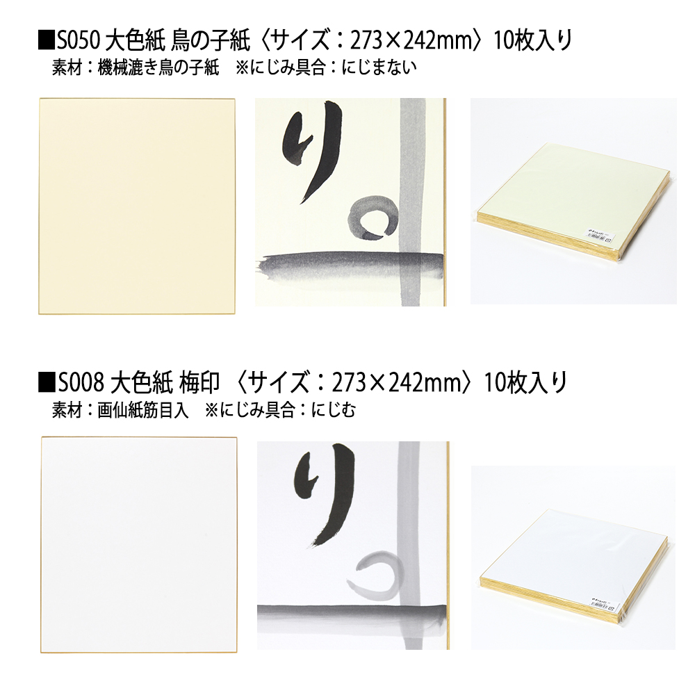 STYLENEO 大色紙 10枚セット 色紙 メッセージボード 色紙 サイン