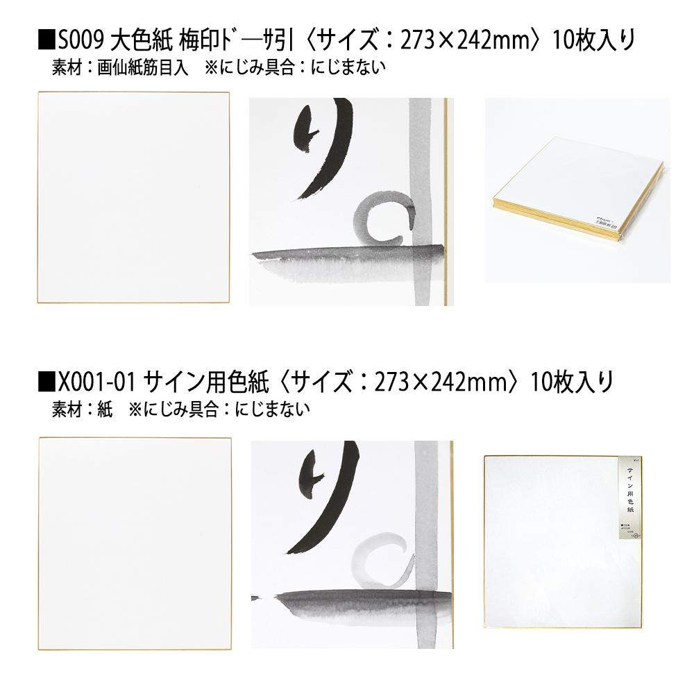 STYLENEO 大色紙 10枚セット 色紙 メッセージボード 色紙 サイン