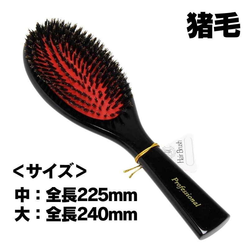 Shatoly 猪毛 BG クッションブラシ （M・L） 大阪ブラシ 美容師 プロ用