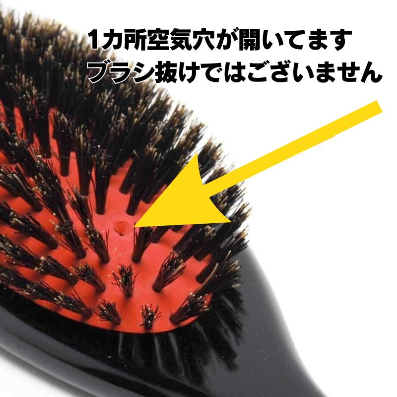 Shatoly 猪毛 BG クッションブラシ （M・L） 大阪ブラシ 美容師 プロ用