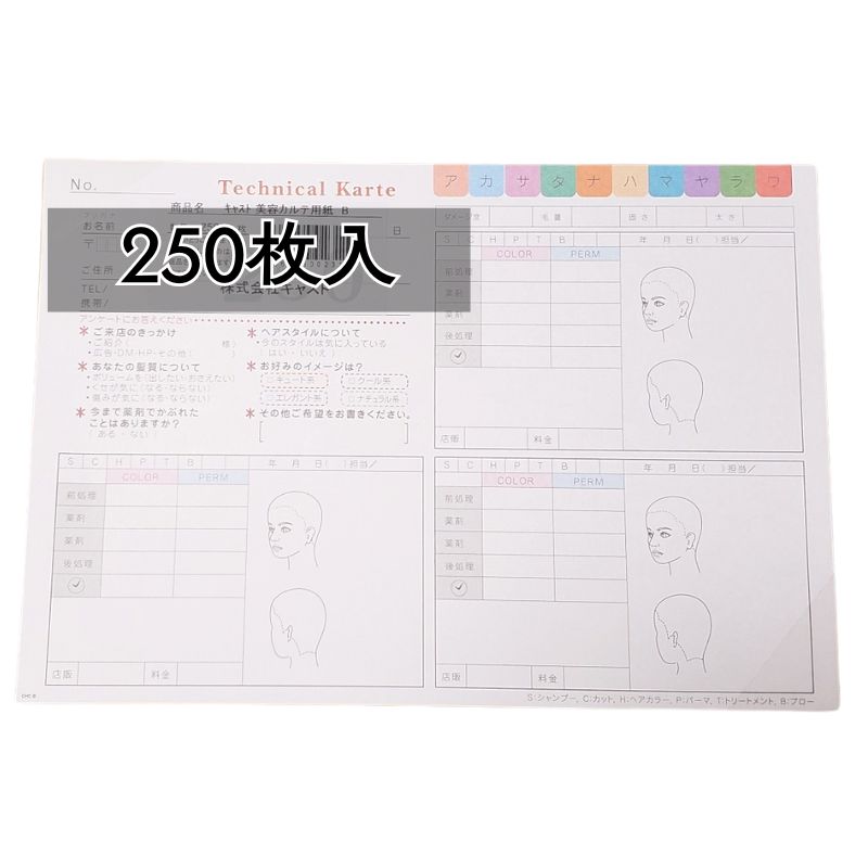 美容カルテ用紙B テクニカルカルテ 250枚セット 厚紙タイプ 157mm