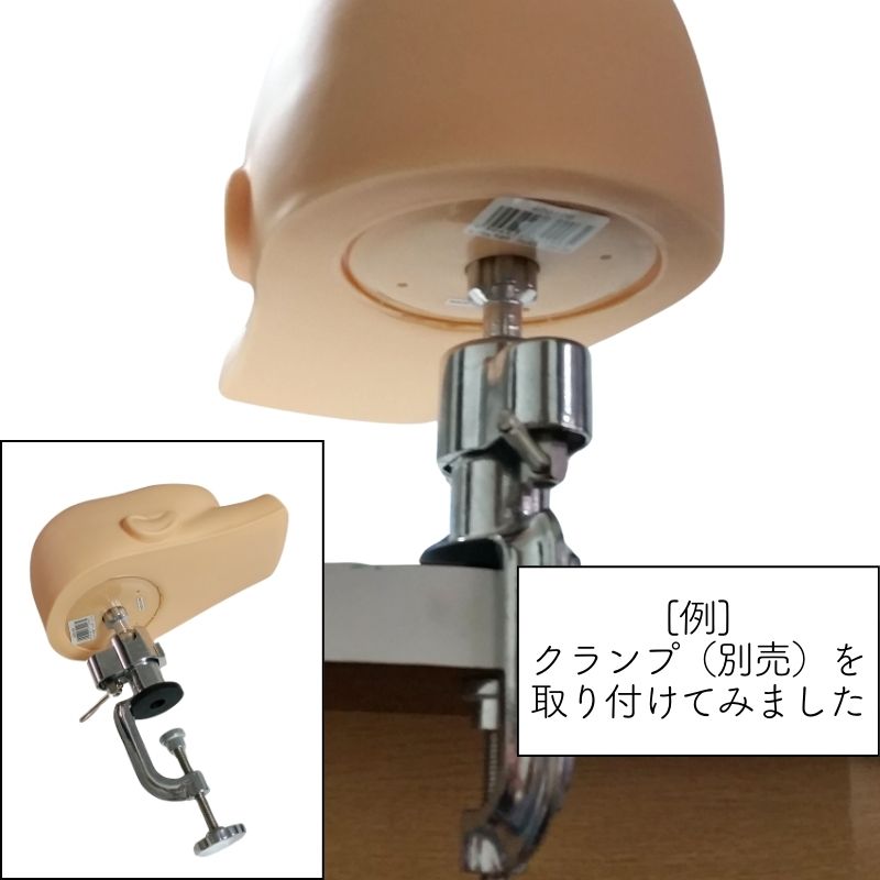 指圧 エステ トレーニング マネキン 練習用 フェイス ハーフ