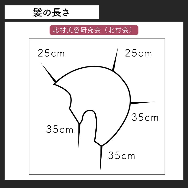 美容師 人毛100％ ヘアアレンジ セットアップウィッグ 茶髪