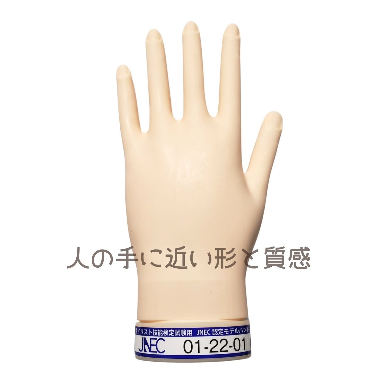JNEC認定 滝川 STモデルハンド 左手 ネイルチップ付き 第1期JNEC認定モデルハンド 01-22-01 ネイリスト技能検定試験 タキガワネイル JNEC認定 滝川 STモデルハンド 左手 ネイルチップ付き 第1期JNEC認定モデルハンド 01-22-01 ネイリスト技能検定試験 タキガワネイル
