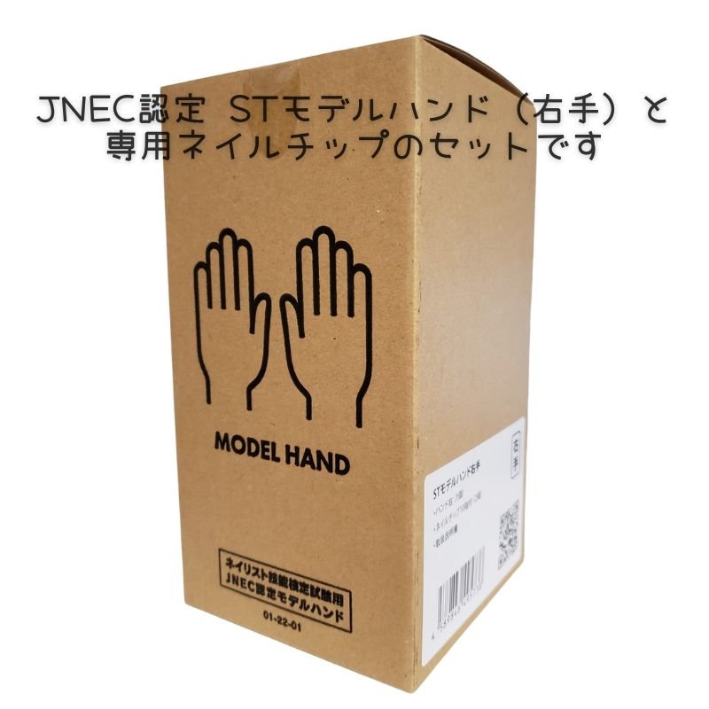 JNEC認定 滝川 STモデルハンド 右手 ネイルチップ付き 第1期JNEC認定モデルハンド 01-22-01 ネイリスト技能検定試験 タキガワネイル