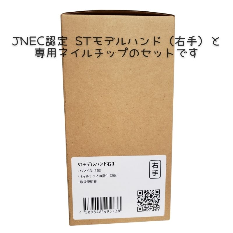 JNEC認定 滝川 STモデルハンド 右手 ネイルチップ付き 第1期JNEC認定モデルハンド 01-22-01 ネイリスト技能検定試験 タキガワネイル